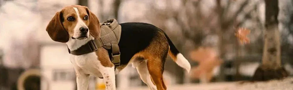Tactical Dog Harness - Happy Tails