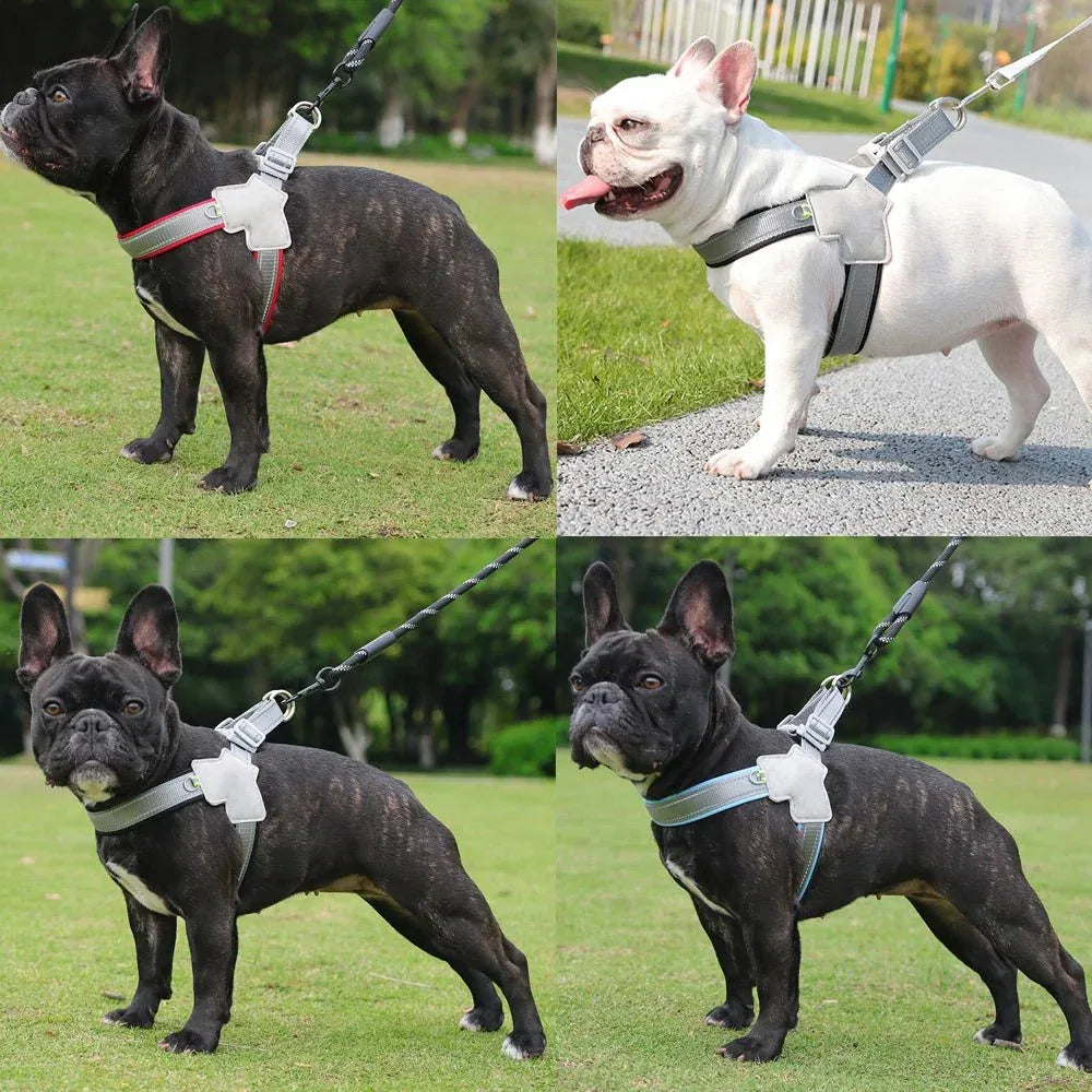 Pet Dog Harness - Happy Tails