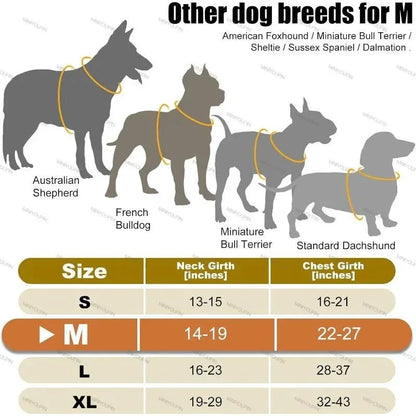 LED Dog Harness - Happy Tails