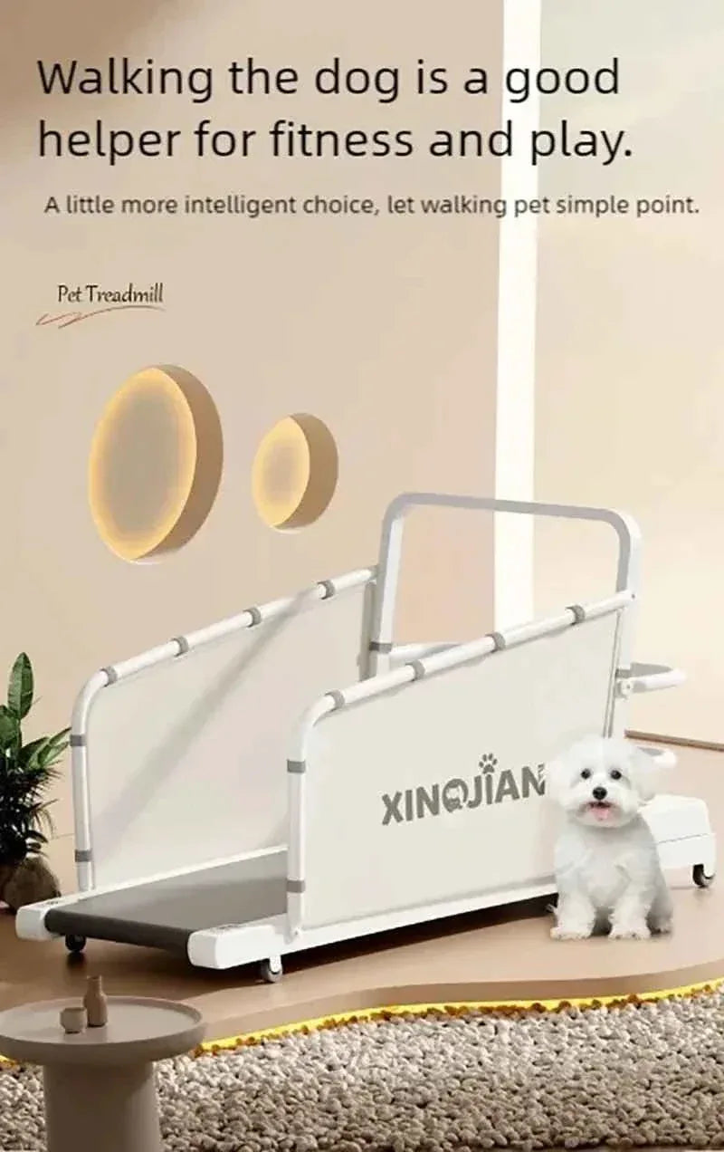 Pet Treadmill for Dogs and Cats - Happy Tails - paws & love