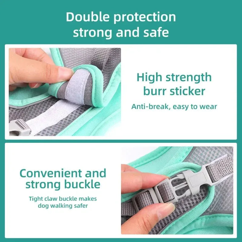 Dog Harness for Small dog - Happy Tails