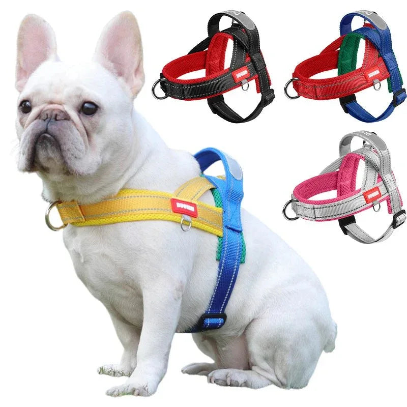 Dogs Harness Saddle - Happy Tails