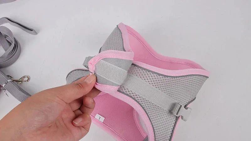 Leash & Harness Set for Small Dogs - Happy Tails