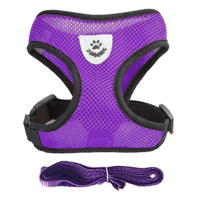 Dog Harness for Small Dogs - Happy Tails