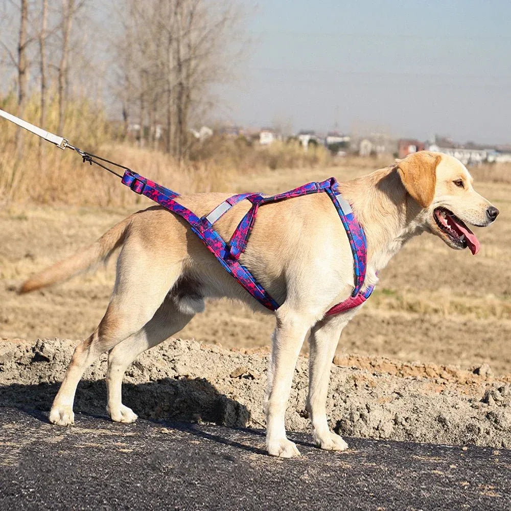 Dog Sledding Harness - Happy Tails