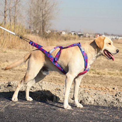 Dog Sledding Harness - Happy Tails