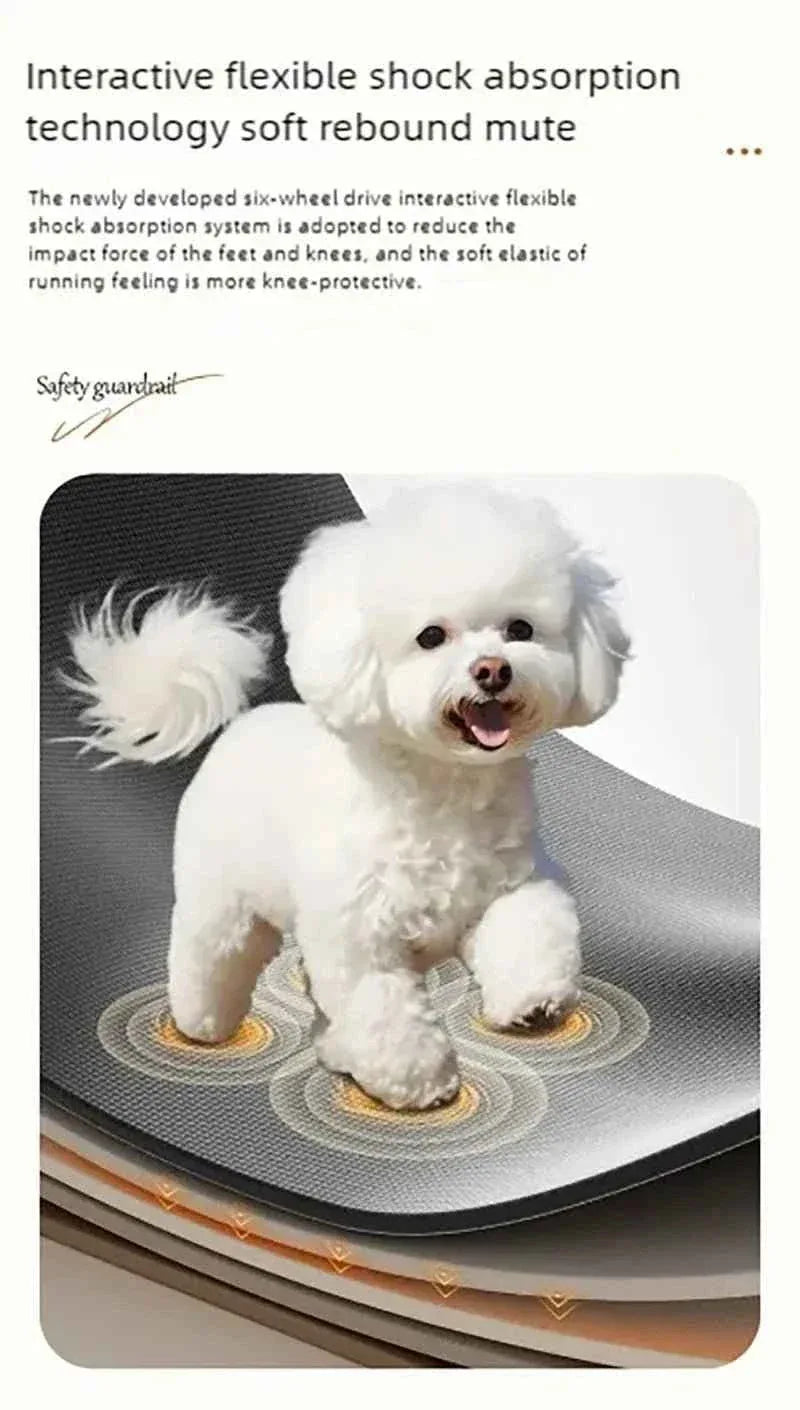 Pet Treadmill for Dogs and Cats - Happy Tails - paws & love