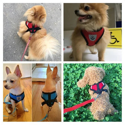 Dog Harness for Small Dogs - Happy Tails
