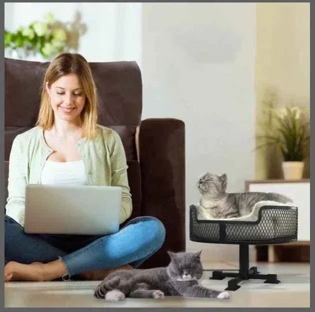 Sturdy Cat's Nest with Suction - Happy Tails