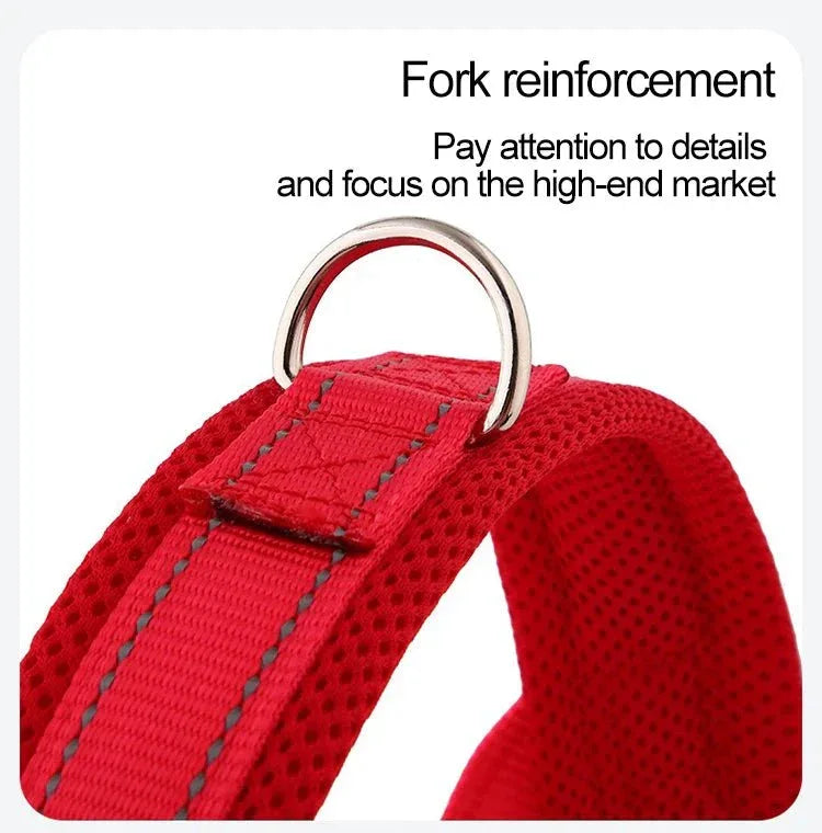 A Small Dog Harness for Comfort and Control - Happy Tails - paws & love