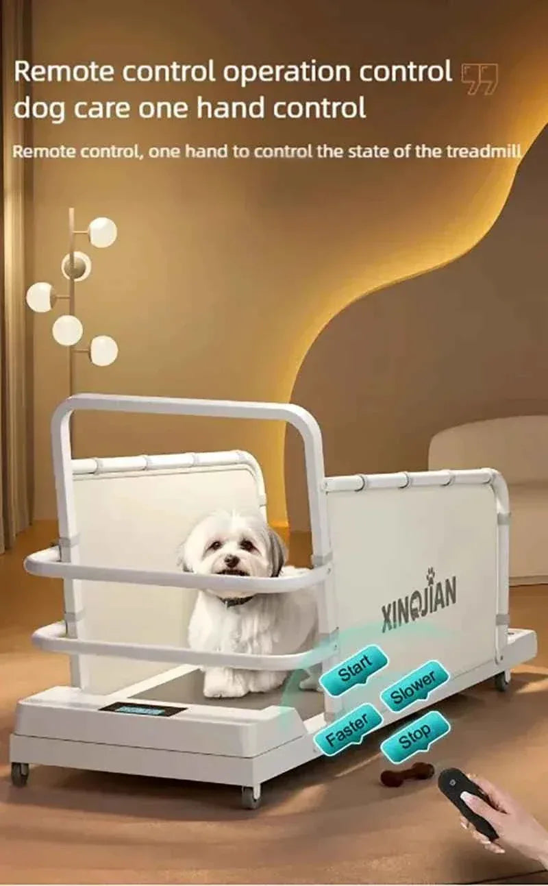 Pet Treadmill for Dogs and Cats - Happy Tails - paws & love