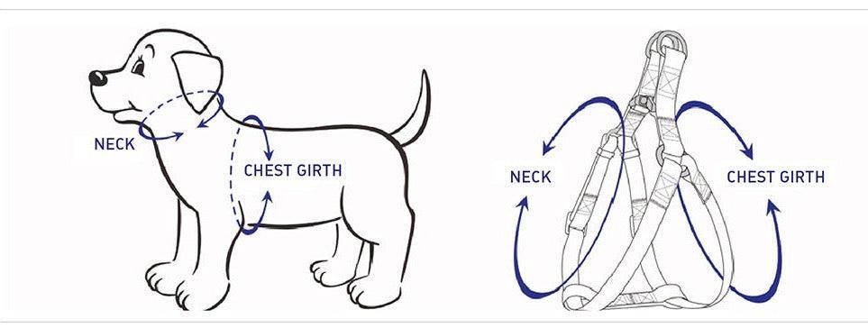 Step In Harness Secure - Happy Tails