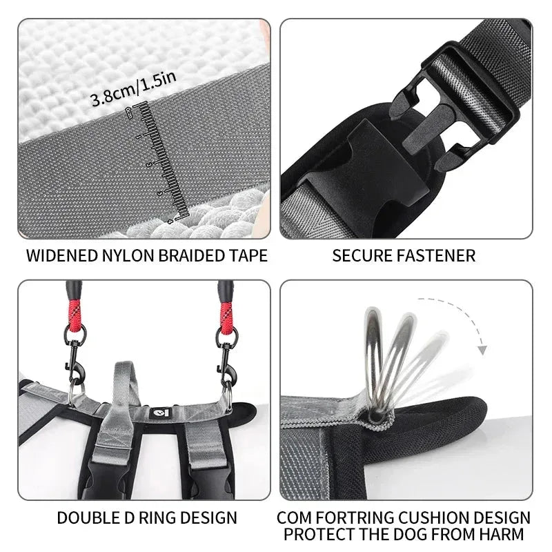 Anti-Breakaway Pet Harness for Easy Control - Happy Tails - paws & love