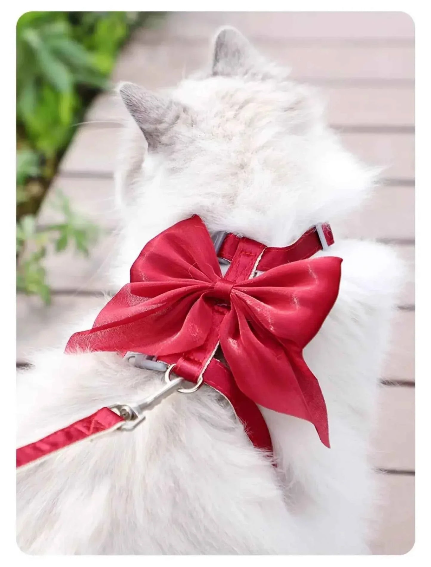 Adjustable Pet Harness - Happy Tails - paws & love